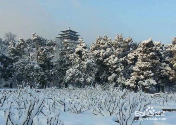 <b>北京景山公园 雪景, 美极了, 一起来欣赏</b>