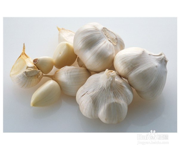 如何解决花盆中长出小蚊子