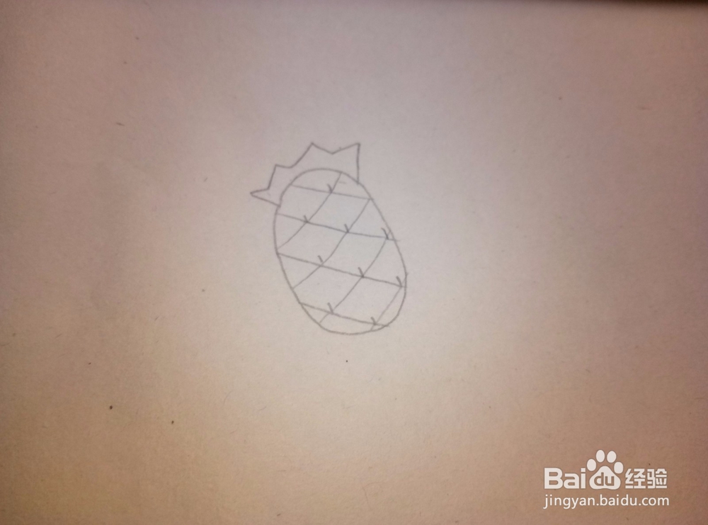 简笔画之——菠萝