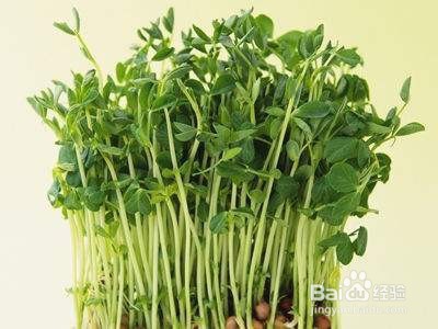 吃绿豆芽有什么好处?