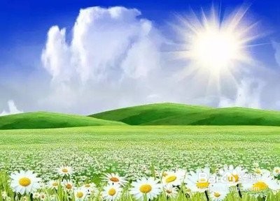 你知道有哪些方法可以补阳气吗?