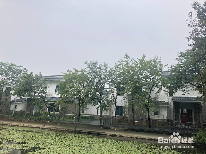 户外旅行，来植物园氧吧吧