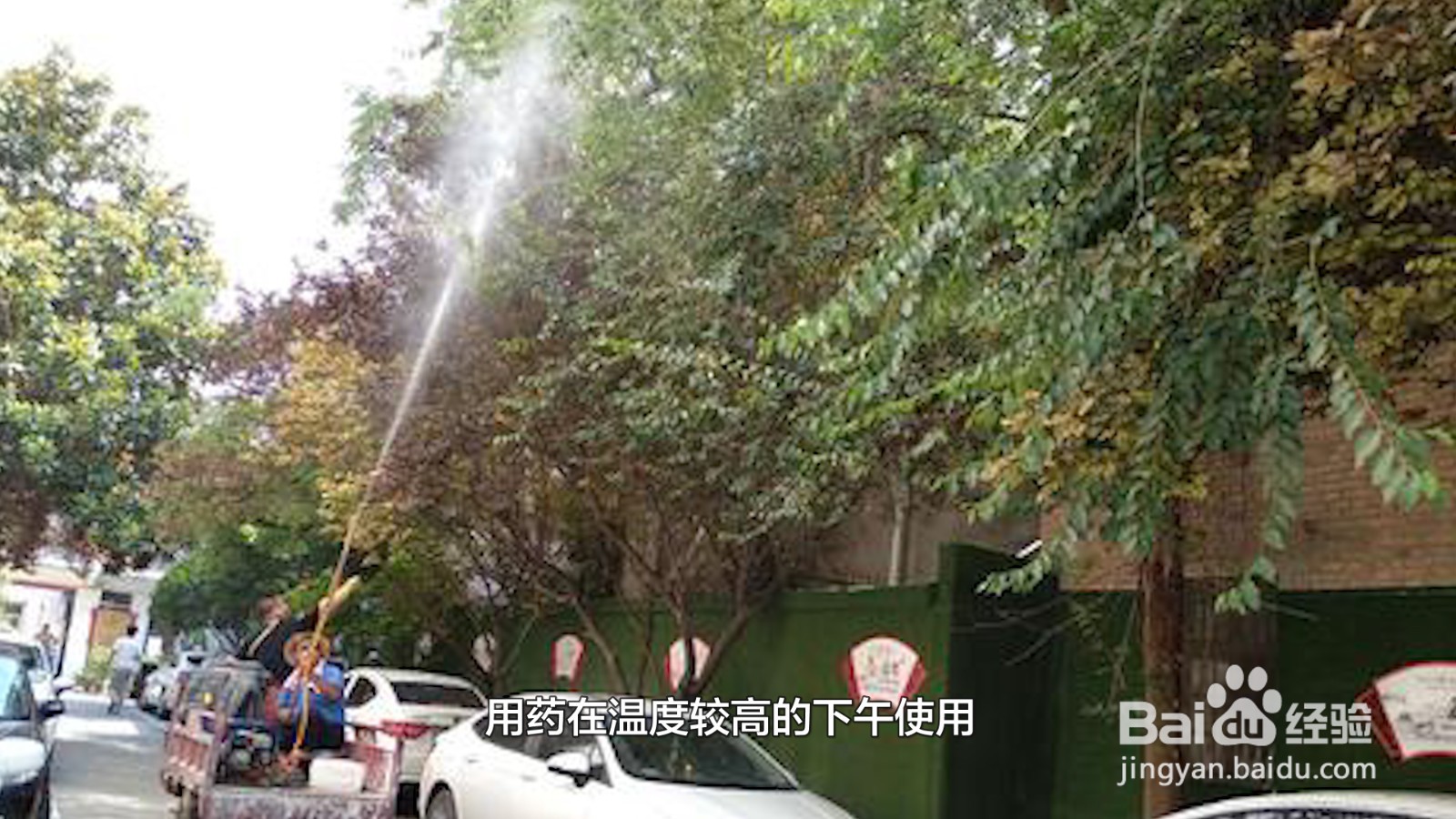 土壤里的蚧壳虫怎样彻底消灭
