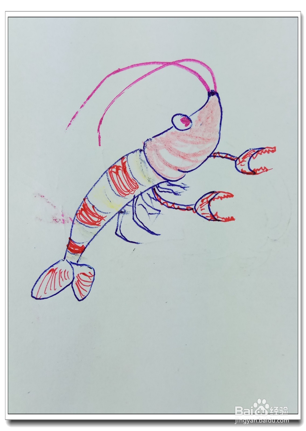 怎样画简笔画“漂亮的大虾”？