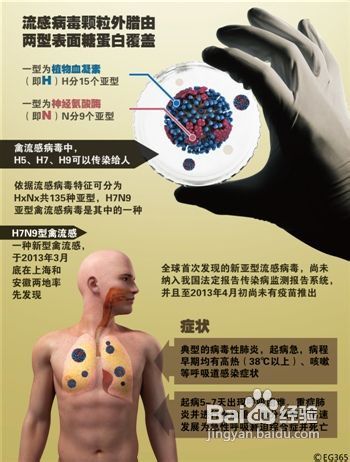 h7n9禽流感防治常识