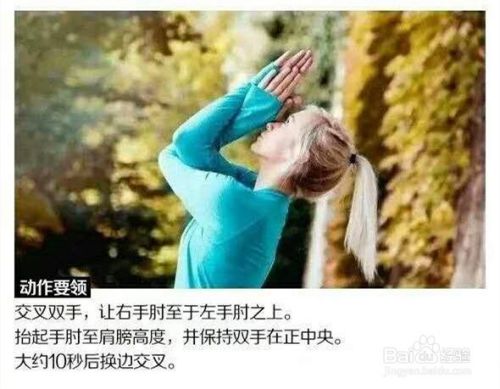 经典瑜伽初级教程