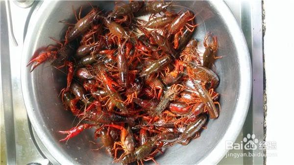 蒜蓉小龙虾怎么做好吃？