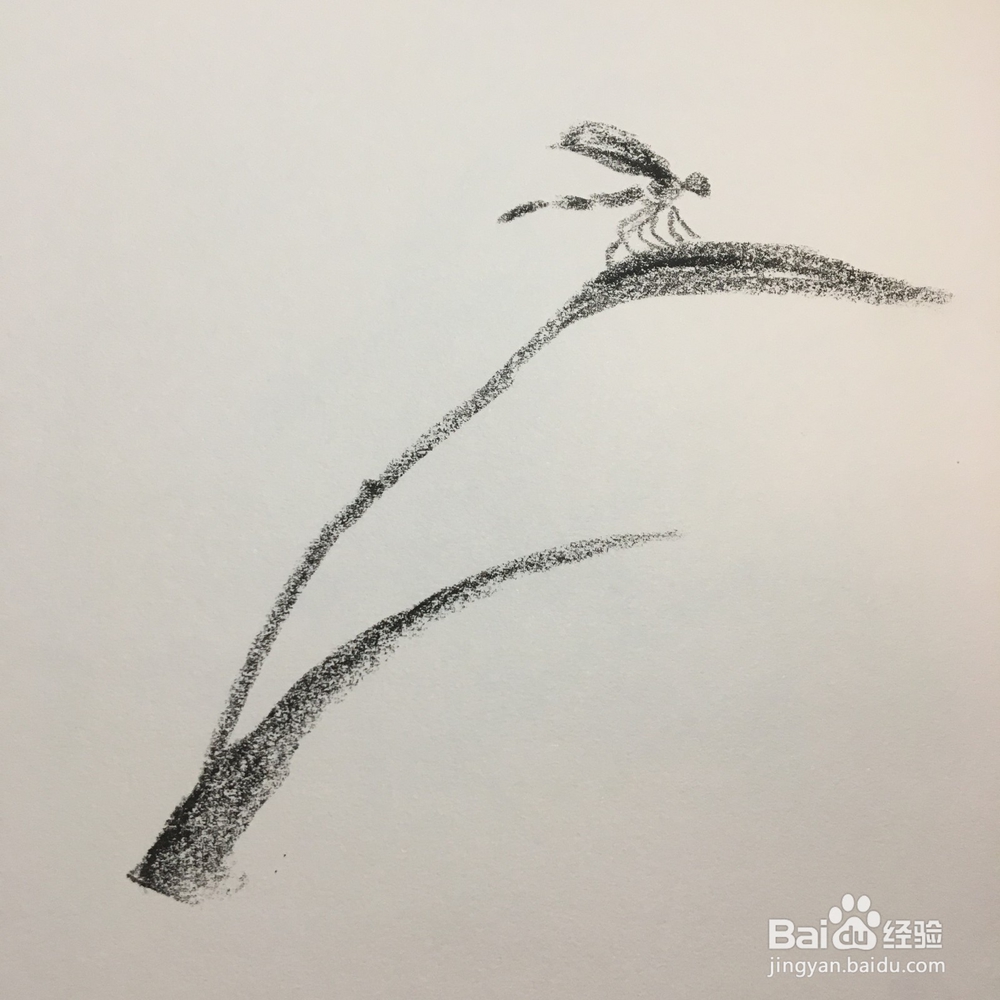 儿童油棒画：枝头上的蜓蜻