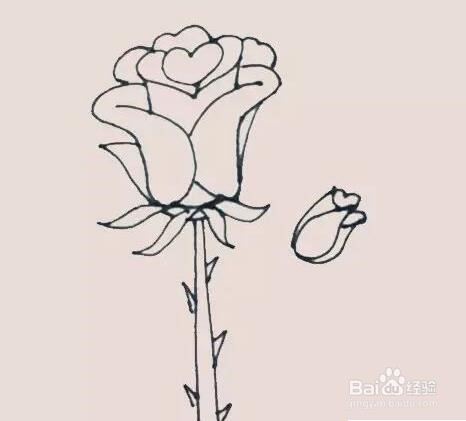 伴儿成长简笔画系列-怎样画玫瑰花简笔画