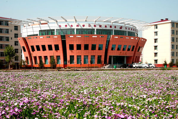 山东工业职业学院学校代码