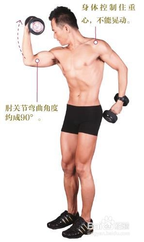 男士健身减肥计划——肱二头肌(六)