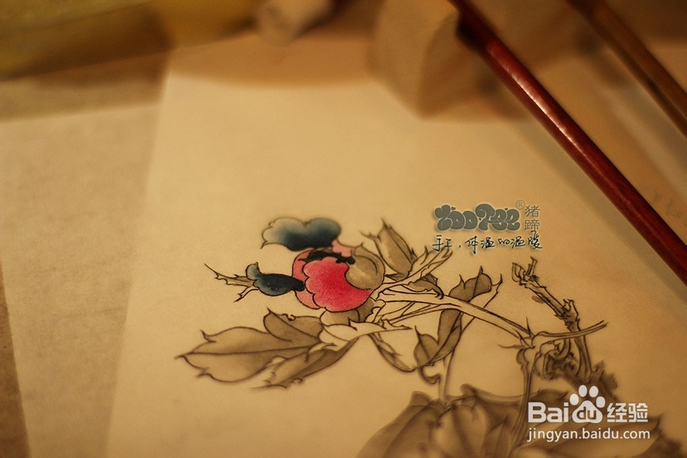 国画工笔花卉技法，起稿上色步骤图以及笔的选择