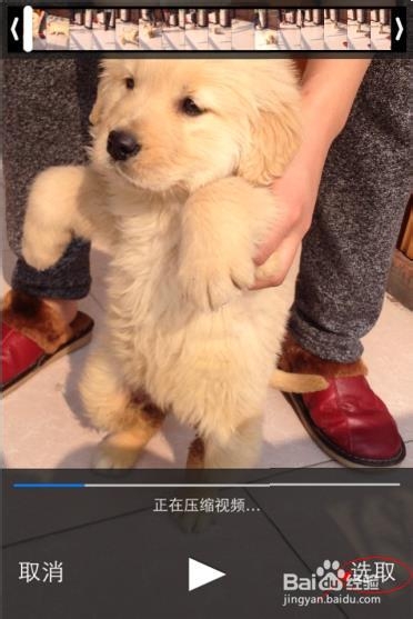 iPhone文件轻松传电脑？