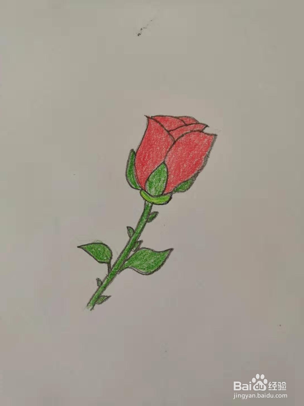 如何画玫瑰花简笔画