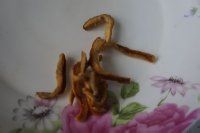 红豆薏仁粥的做法