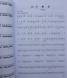 教你如何自学琵琶