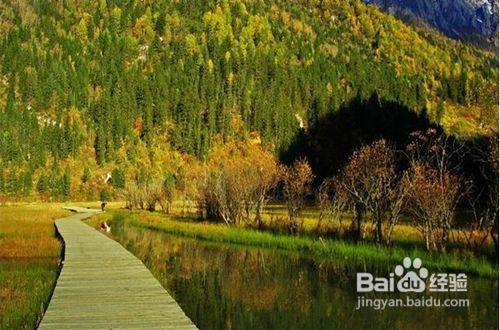 长沙到成都、九寨沟、牟尼沟双飞五日游最佳安排