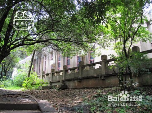 游.武汉——国立武汉大学