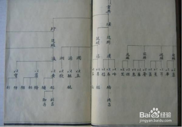 怎么编写制作家谱