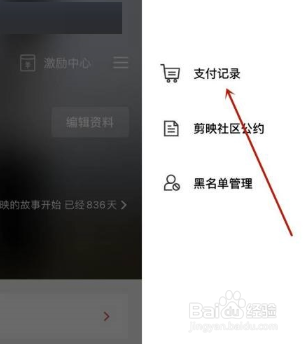 手机剪映支付记录如何查看