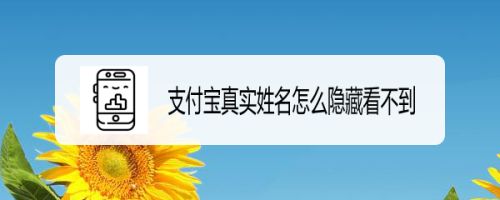 支付宝真实姓名怎么隐藏看不到