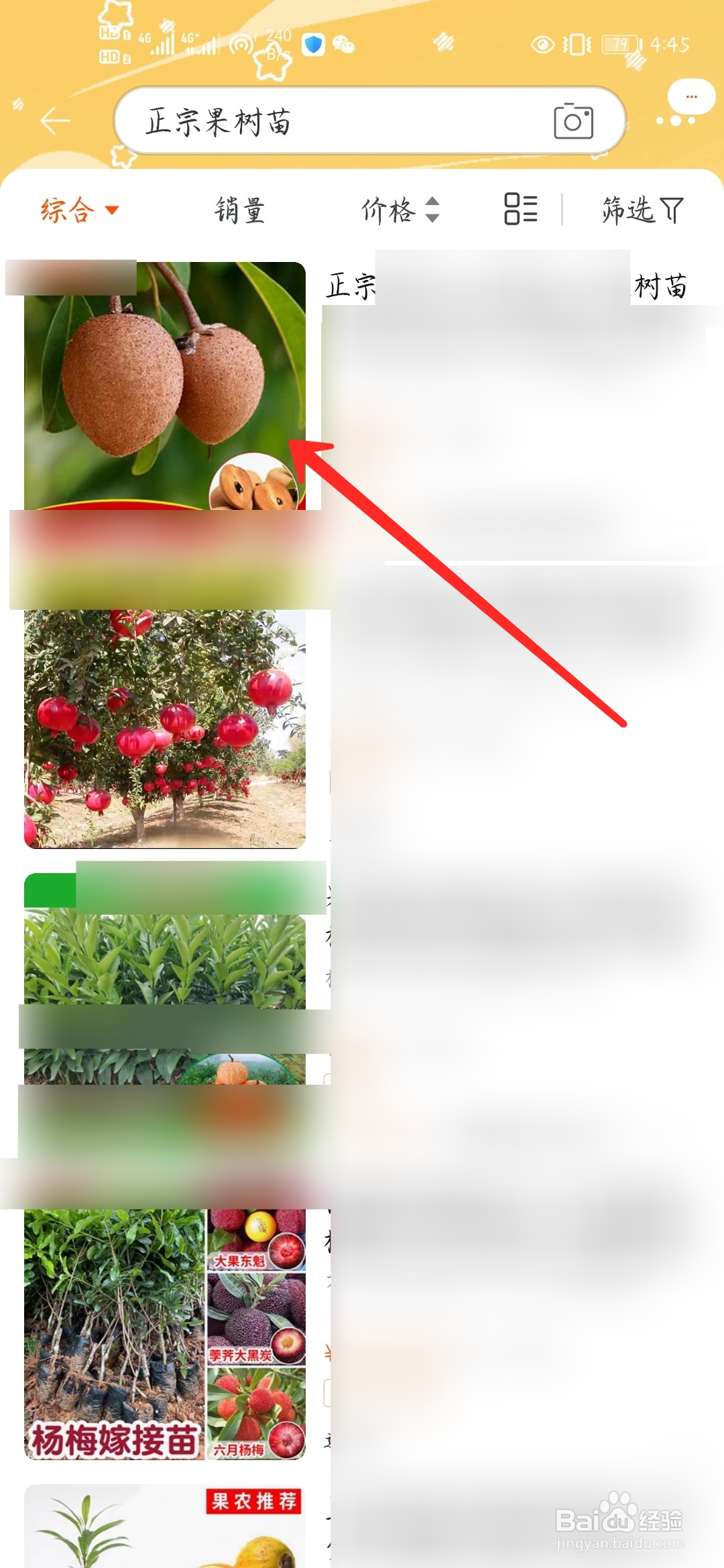 怎样能买到正宗果树苗