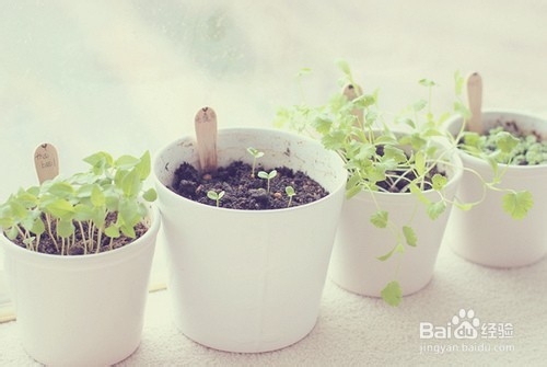 心肝脾肺肾怕什么你知道吗