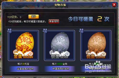 小宝升职记宠物怎么获得？宠物如何才能进化？