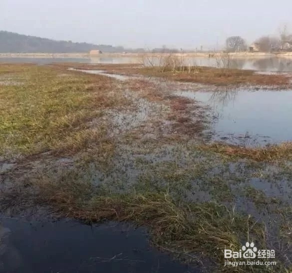 南方立春后阴雨天气如何钓鱼