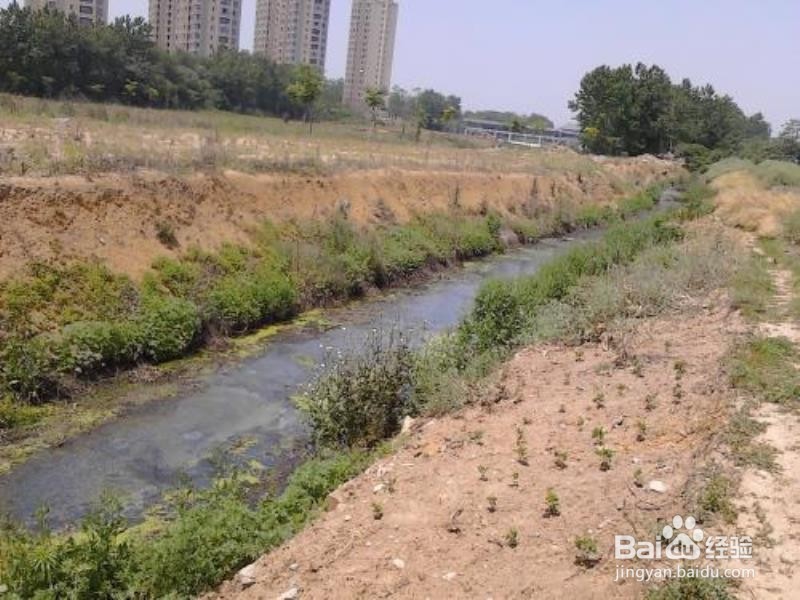 手机进水了怎么办？