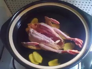 养心养颜：乳鸽汤