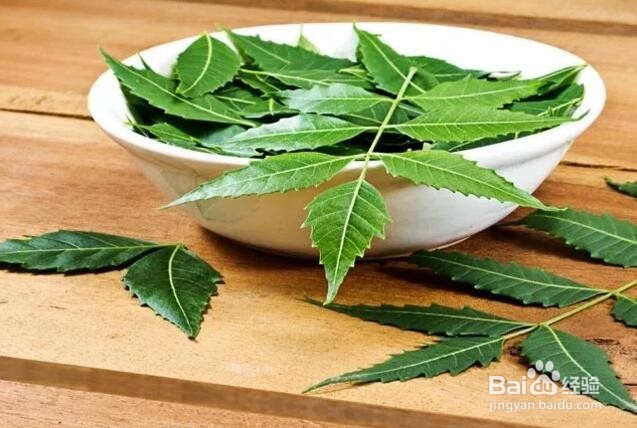 出了湿疹后出现脓包怎么办