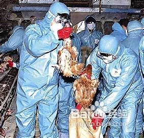 如何有效预防h7n9禽流感