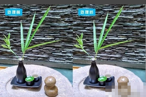 Photoshop怎么去噪点