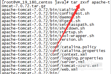Linux下安装Tomcat服务器