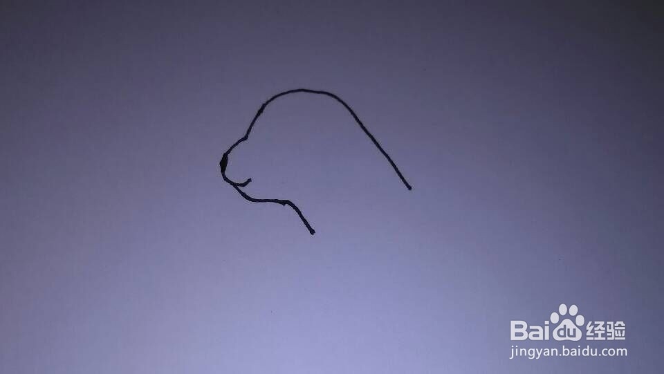 简单画--雌狮