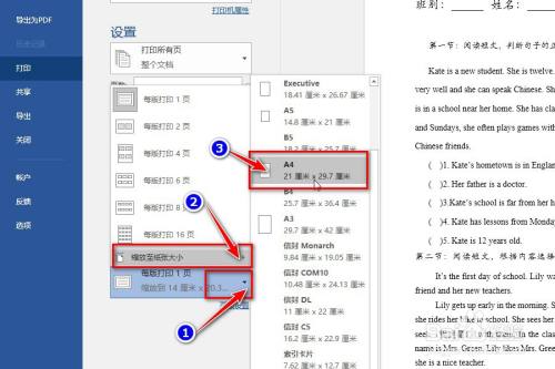 word文檔b4幅面的內容如何打印到a4張上