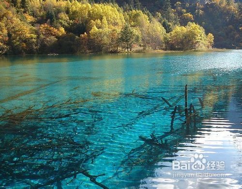 九寨沟四日游特价线路推荐