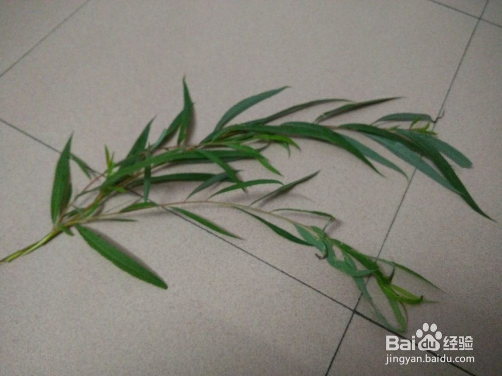 鲜花花圈制作方法