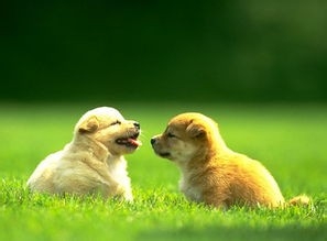 怎样解除郁闷的心情