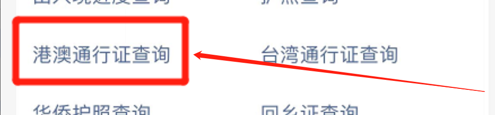 手机怎么用支付宝app查询港澳通行证
