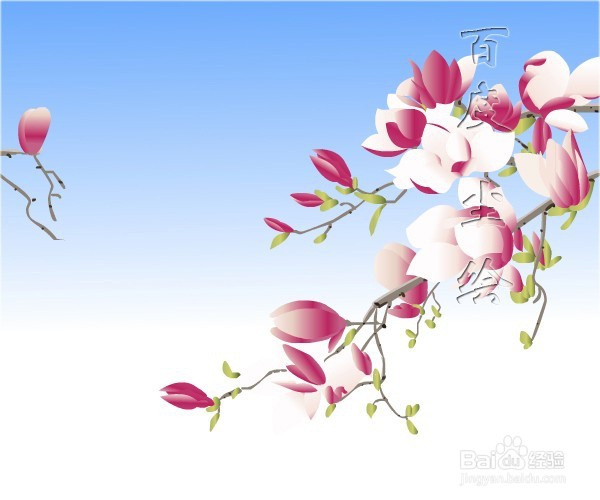 flash鼠绘——木兰花