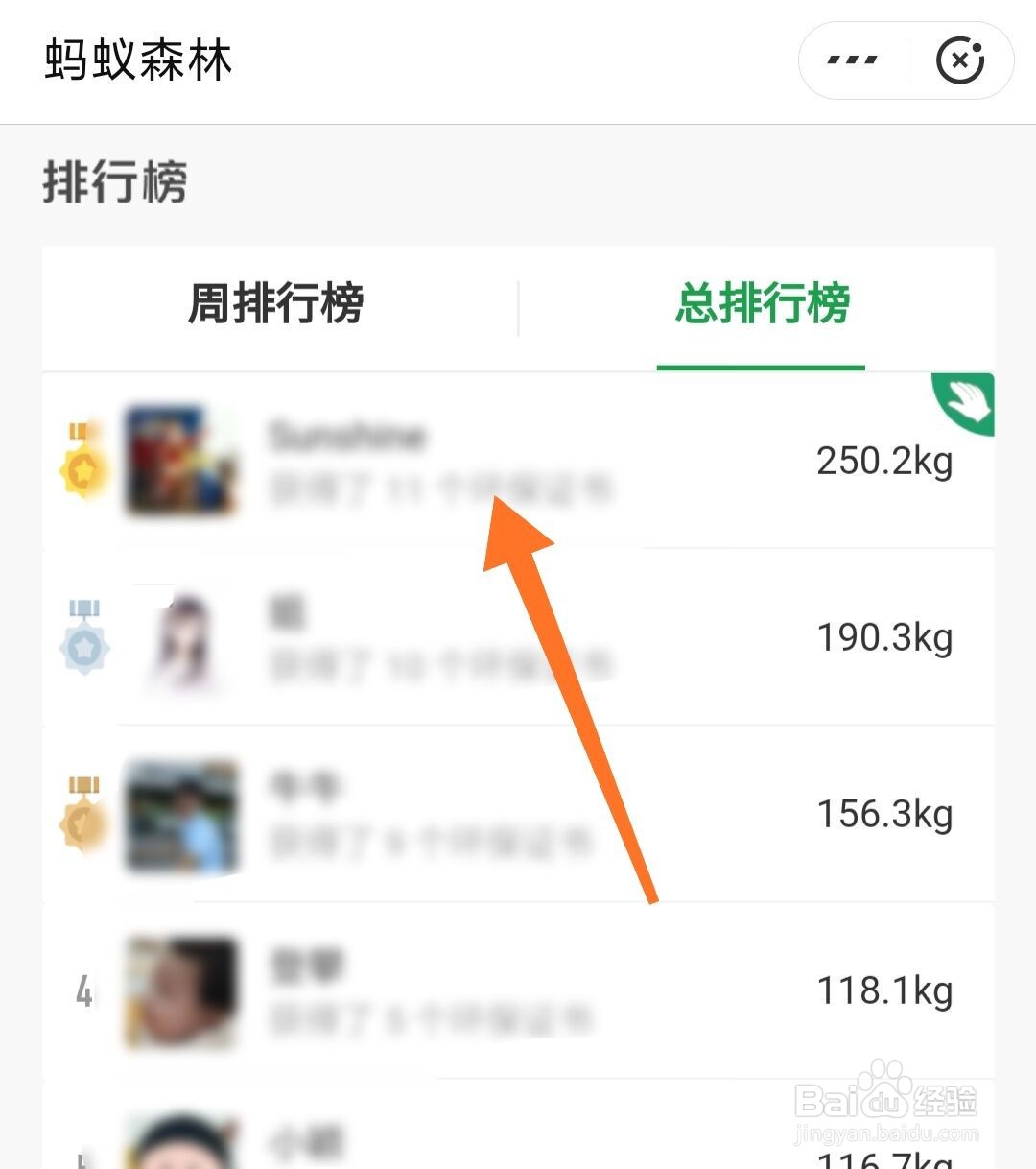 支付宝蚂蚁森林怎么发弹幕