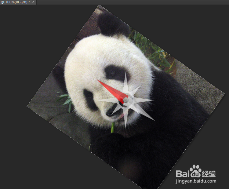 PS如何快速旋转图片，图层，旋转工具在哪