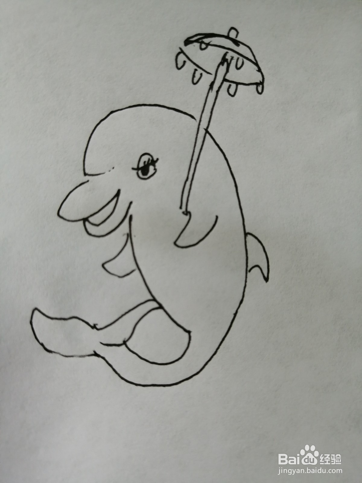 <b>打伞的可爱的小海豚怎么画</b>