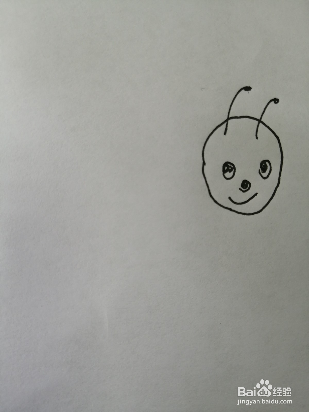 可爱的小蜜蜂怎么画