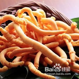 如何妥善保存新鲜虫草