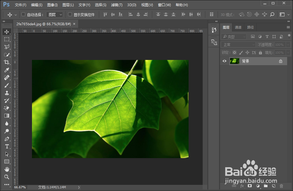 PS怎么调整图片亮度
