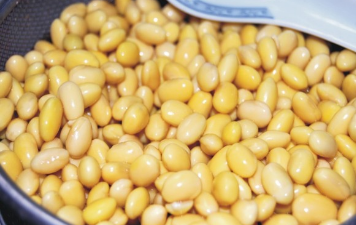 孜然香酥小黄豆