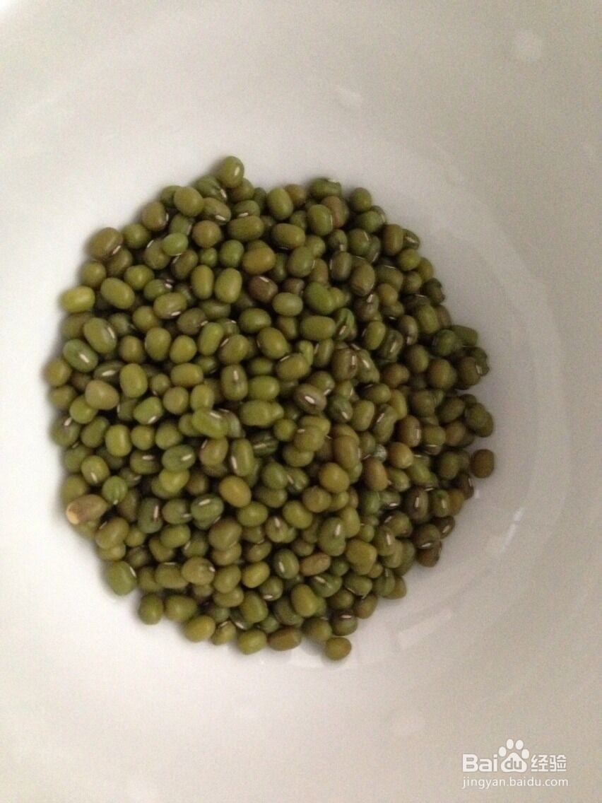 如何在家轻松发豆芽